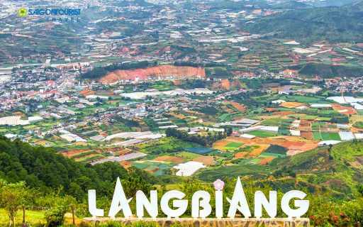 ĐÀ LẠT – TP. NGÀN HOA 3 NGÀY 2 ĐÊM
