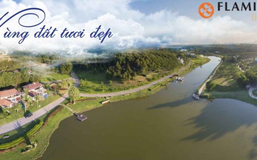 TOUR FLAMINGO ĐẠI LẢI 1 NGÀY