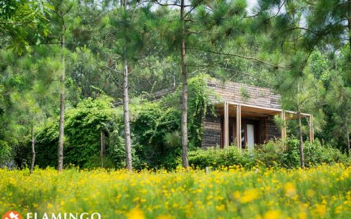 FLAMINGO ĐẠI LẢI RESORT 04