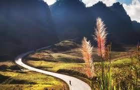 MỘC CHÂU – SĂN MÂY TÀ XÙA