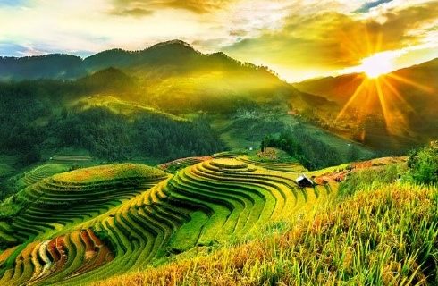HÀ NỘI – MÙ CANG CHẢI MÙA LÚA