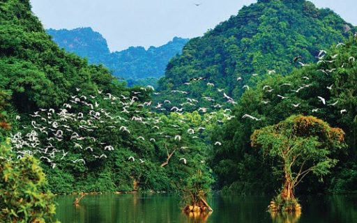 CỐ ĐÔ HOA LƯ – VƯỜN CHIM THUNG NHAM – HANG MÚA