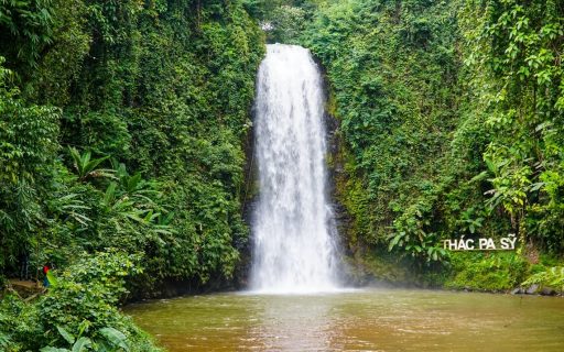 THEO DẤU ĐẠI NGÀN – VỀ VỚI CAO NGUYÊN XANH